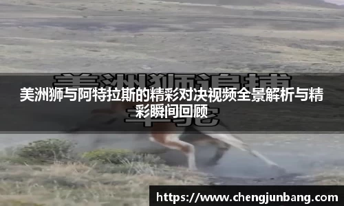 lehu乐虎国际